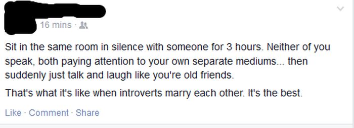 Those Special Moments In Life That Only Introverts Can Understand (28 pics)