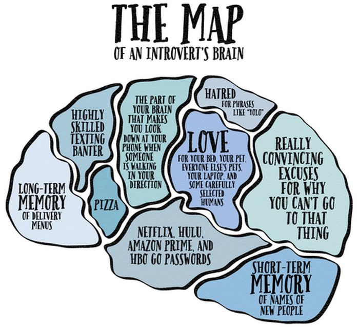 Those Special Moments In Life That Only Introverts Can Understand (28 pics)