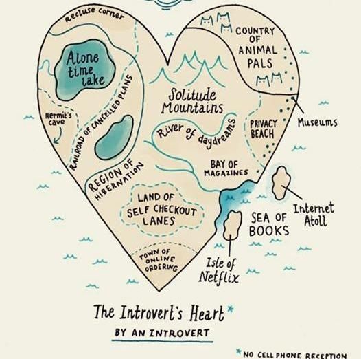 Those Special Moments In Life That Only Introverts Can Understand (28 pics)