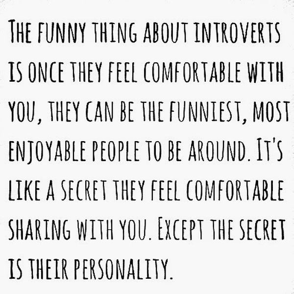 Those Special Moments In Life That Only Introverts Can Understand (28 pics)