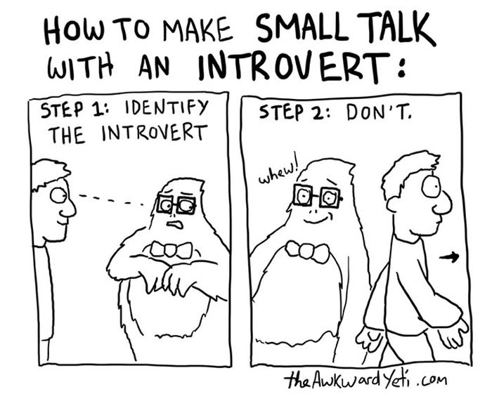 Those Special Moments In Life That Only Introverts Can Understand (28 pics)