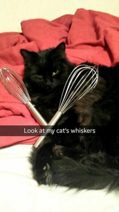 24 Pictures That Prove Snapchat Is The Best Place For Puns (24 pics)