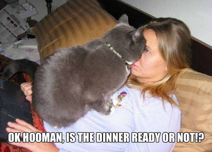 Acid Picdump (101 pics)