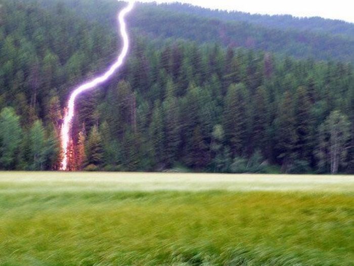 Acid Picdump (101 pics)