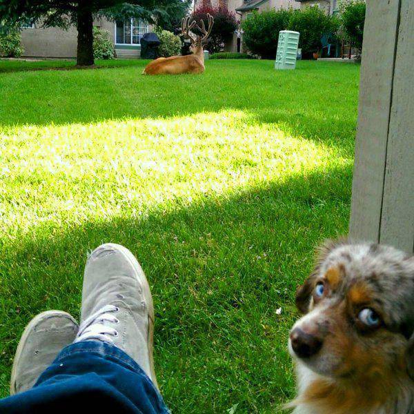 Acid Picdump (101 pics)