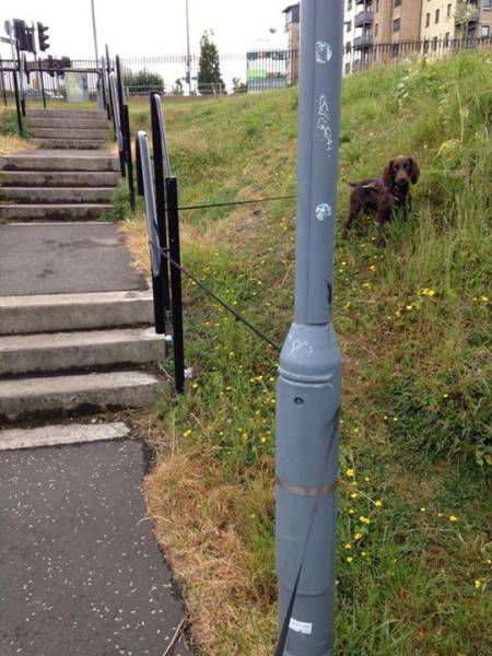 Acid Picdump (101 pics)