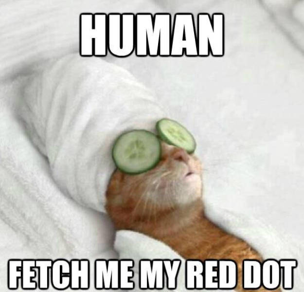 Acid Picdump (101 pics)