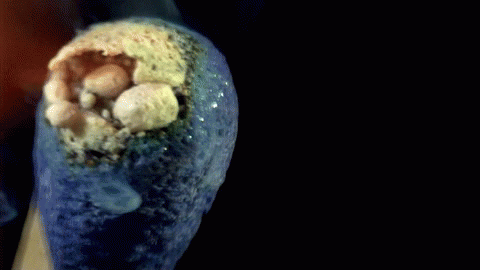 Slow Motion GIFS That Will Amaze And Hypnotize You (31 gifs)