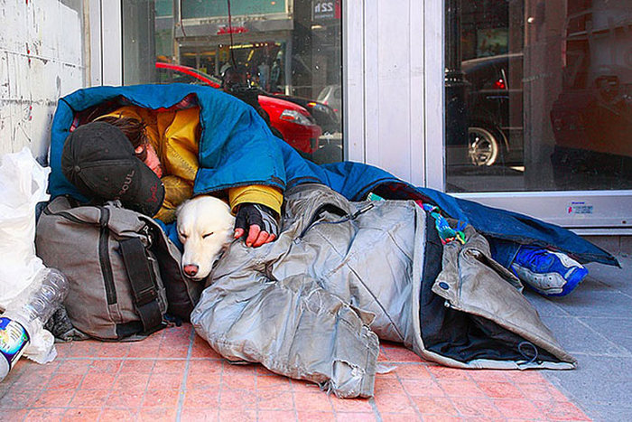 Dogs Truly Are The Most Loyal Pets In The World (28 pics)