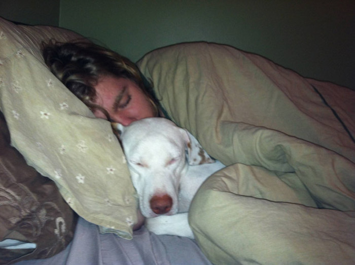 Dogs Truly Are The Most Loyal Pets In The World (28 pics)