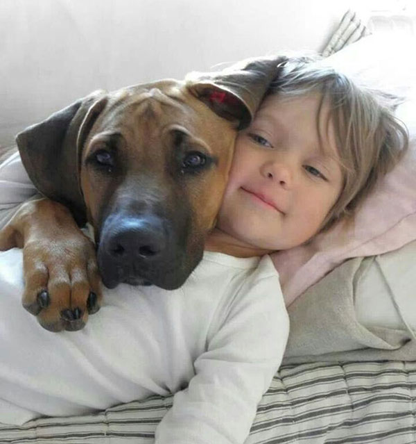 Dogs Truly Are The Most Loyal Pets In The World (28 pics)