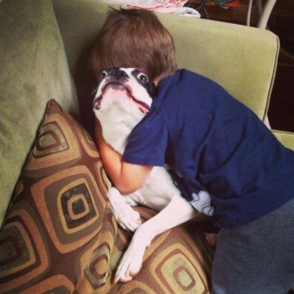 Dogs Truly Are The Most Loyal Pets In The World (28 pics)