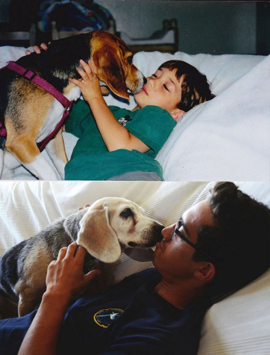 Dogs Truly Are The Most Loyal Pets In The World (28 pics)