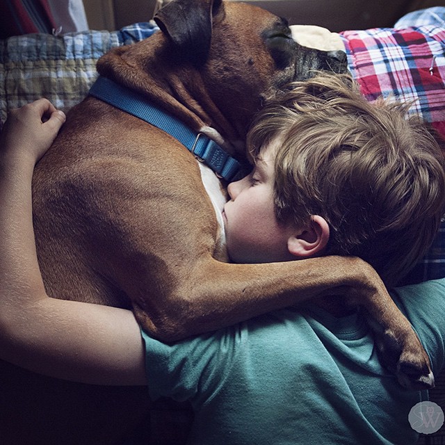 Dogs Truly Are The Most Loyal Pets In The World (28 pics)