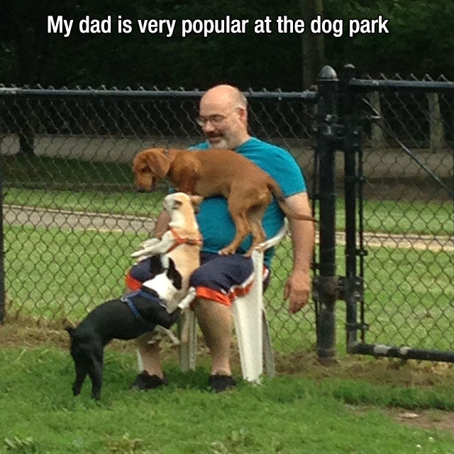 Dogs Truly Are The Most Loyal Pets In The World (28 pics)
