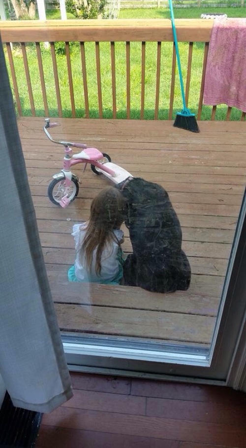Dogs Truly Are The Most Loyal Pets In The World (28 pics)