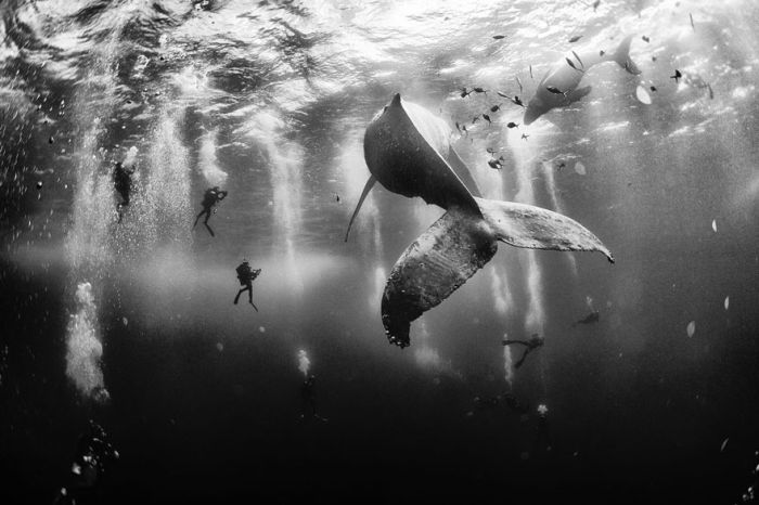 See The Winners Of The 2015 National Geographic Traveler Photo Contest (10 pics)