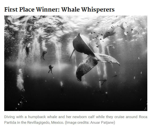 See The Winners Of The 2015 National Geographic Traveler Photo Contest (10 pics)