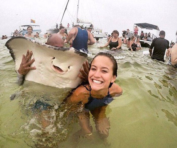 Awesome Photos. Part 45 (39 pics)