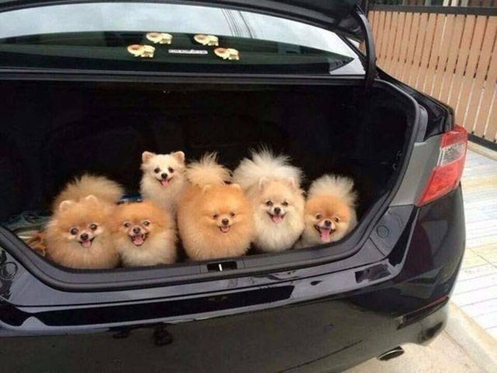 Awesome Photos. Part 45 (39 pics)