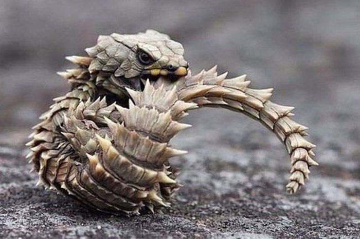 Awesome Photos. Part 45 (39 pics)