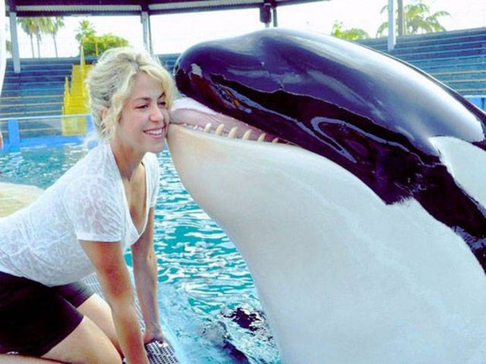 Awesome Photos. Part 45 (39 pics)