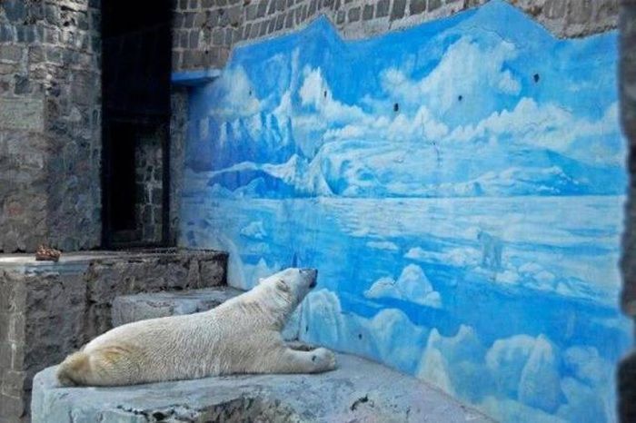 Awesome Photos. Part 45 (39 pics)