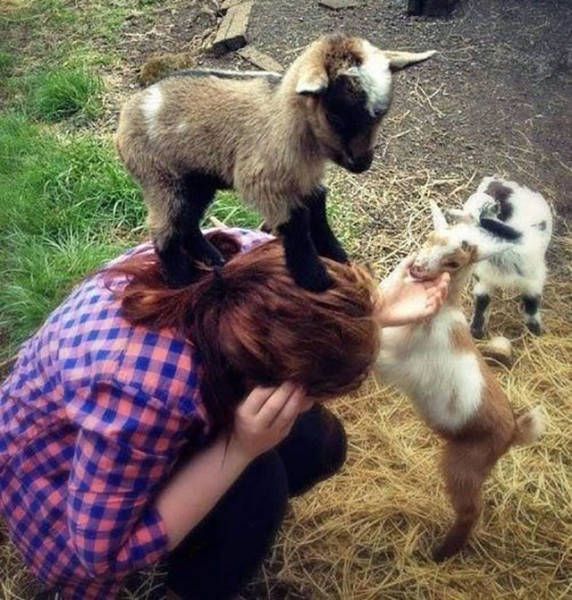 Awesome Photos. Part 45 (39 pics)