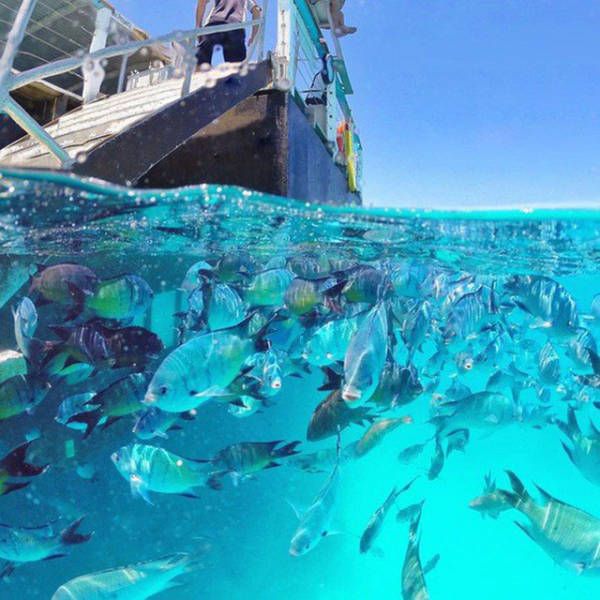 Awesome Photos. Part 45 (39 pics)