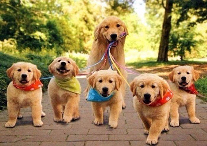 Awesome Photos. Part 45 (39 pics)