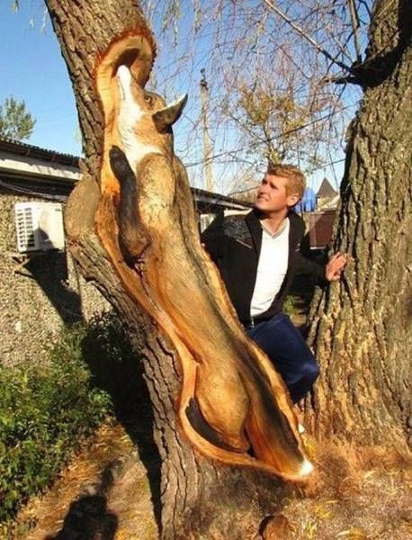 Awesome Photos. Part 45 (39 pics)