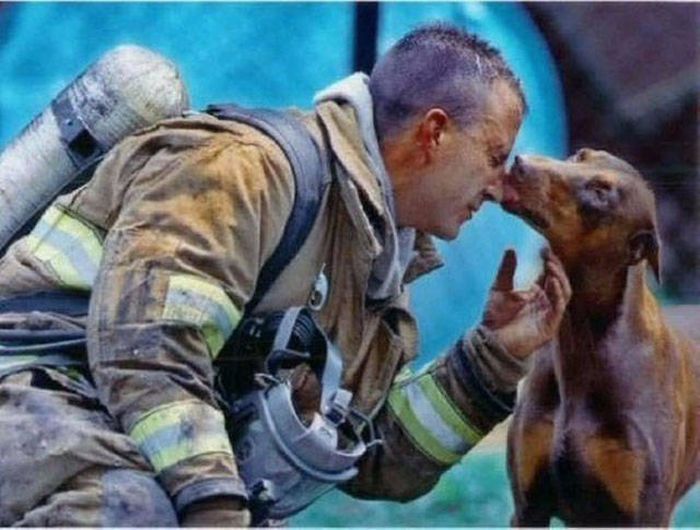 Awesome Photos. Part 45 (39 pics)