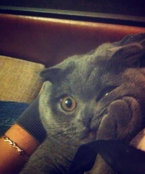 Awesome Photos. Part 45 (39 pics)