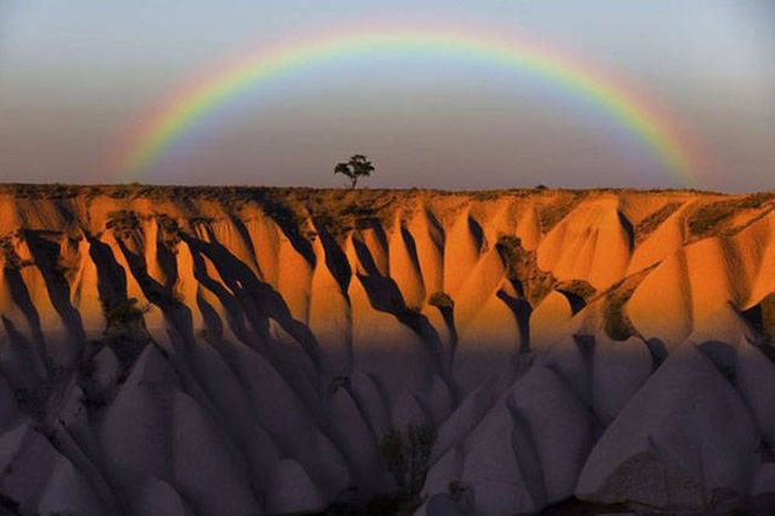 Awesome Photos. Part 45 (39 pics)
