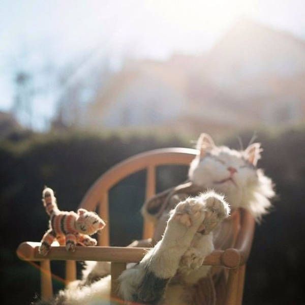 Awesome Photos. Part 45 (39 pics)