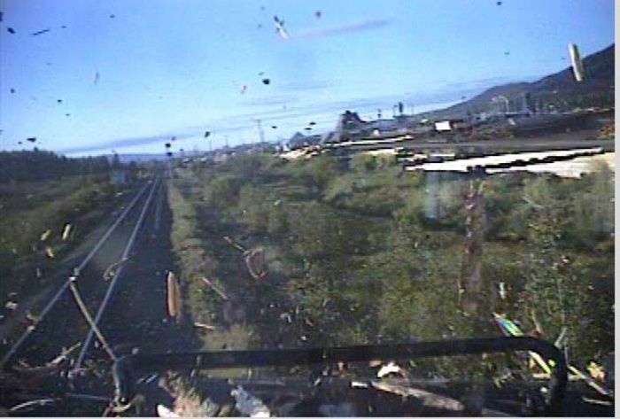 Train Derails After A Brutal Collision With A Timber Truck (13 pics)