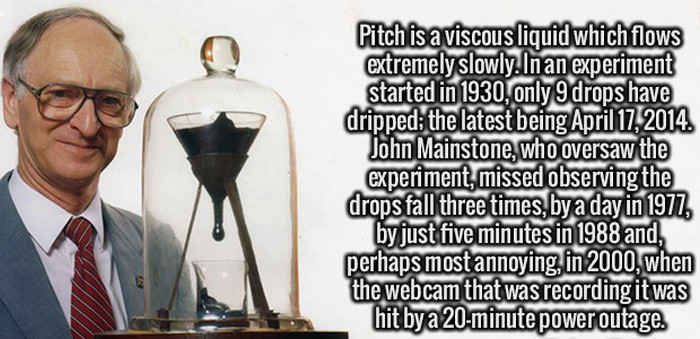 Give Your Brain A Healthy Serving Of Fun Facts (25 pics)