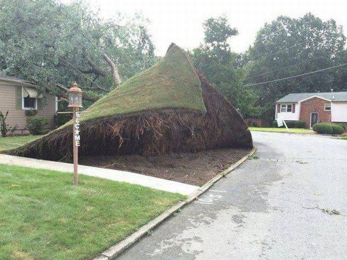 Acid Picdump (101 pics)