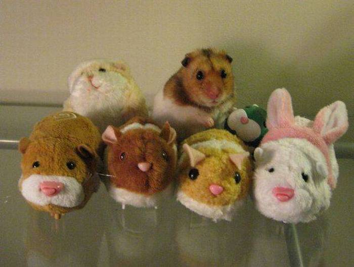 Acid Picdump (101 pics)