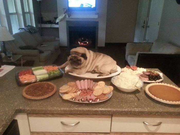 Acid Picdump (101 pics)
