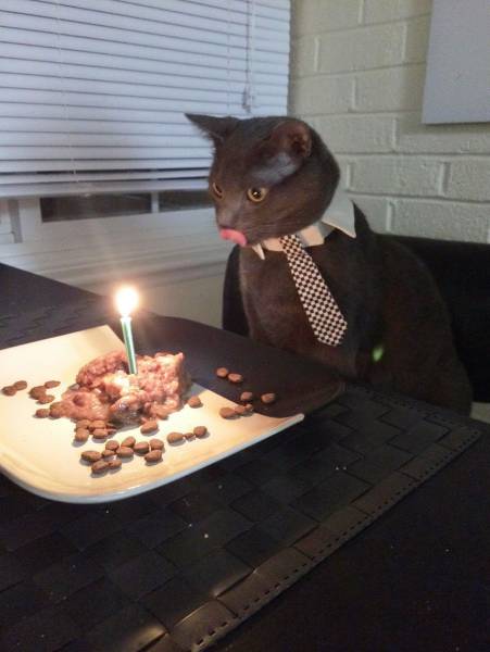 Acid Picdump (101 pics)