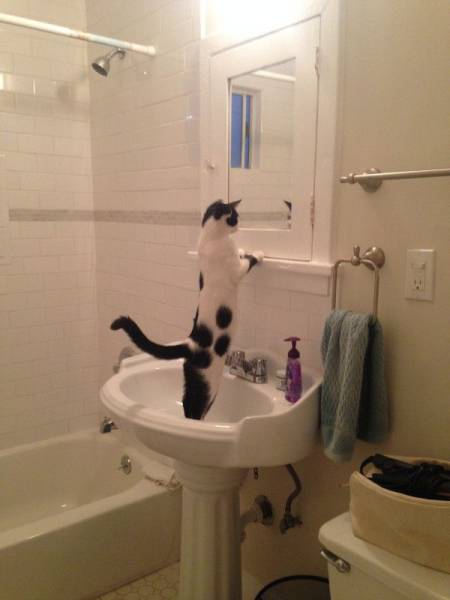 Acid Picdump (101 pics)