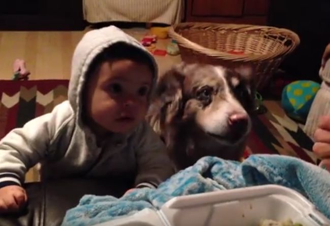 Dog Says Mama And Baby Can't