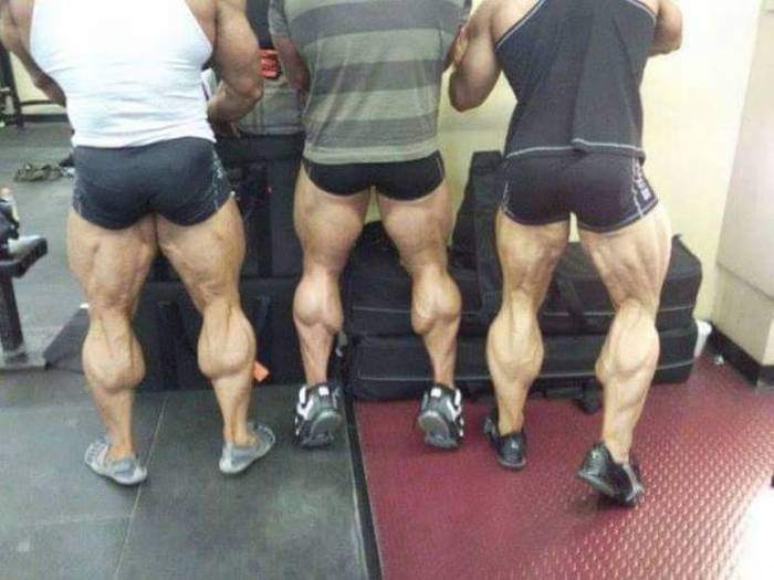 Acid Picdump (105 pics)