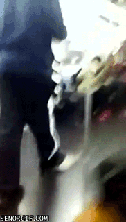 Jerks Who Got Hit With A Freight Train Full Of Karma (21 pics)