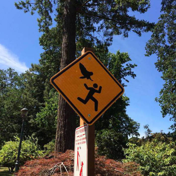 Those Crazy Moments In Life That You Just Can't Explain With Words (51 pics)