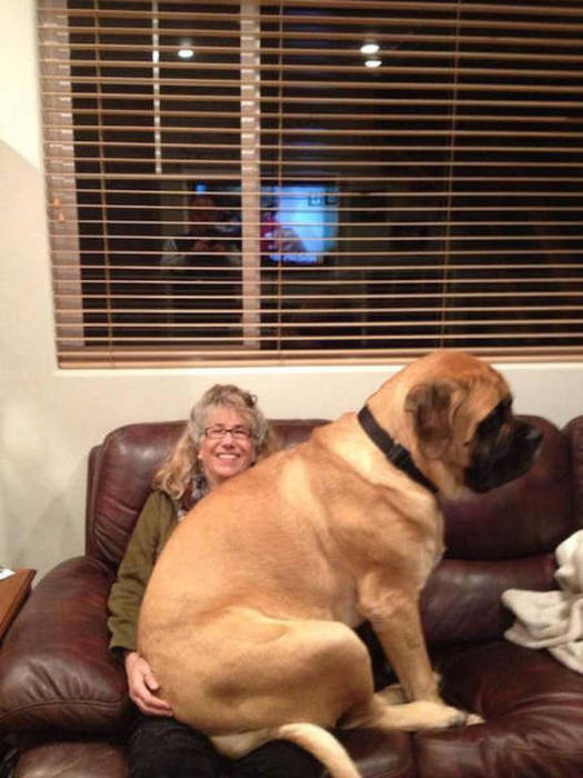 Those Crazy Moments In Life That You Just Can't Explain With Words (51 pics)