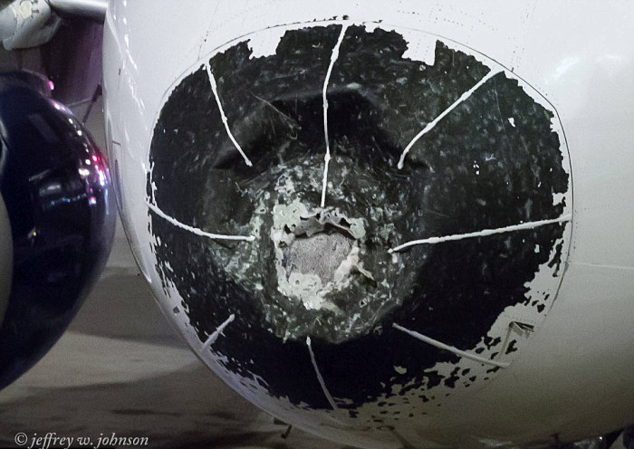 Delta Pilot Makes Emergency Landing After Plane Is Damaged By Hail (4 pics)