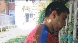 When Two Gifs Merge Together To Create One Funny Story (27 gifs)