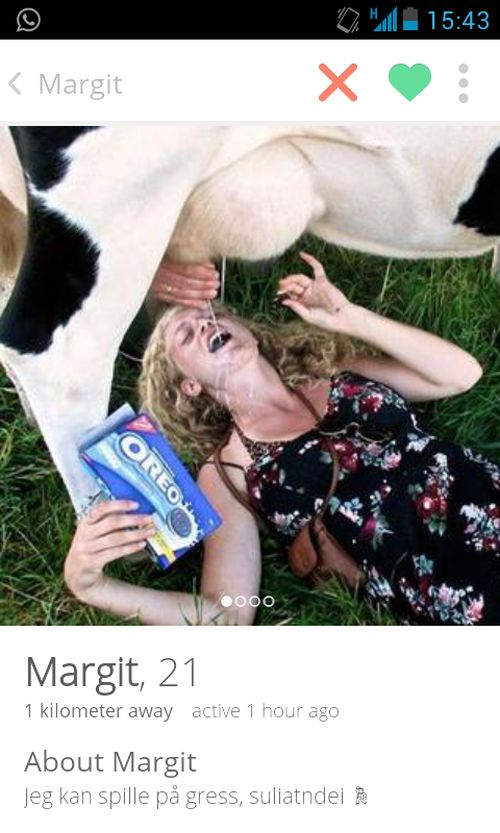 These Tinder Profiles Will Definitely Grab Your Attention (36 pics)